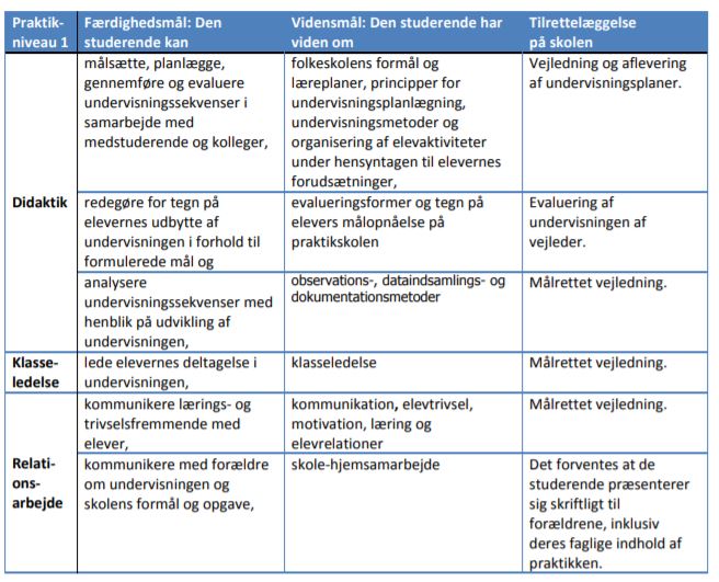 Plan for praktik på niveau 1