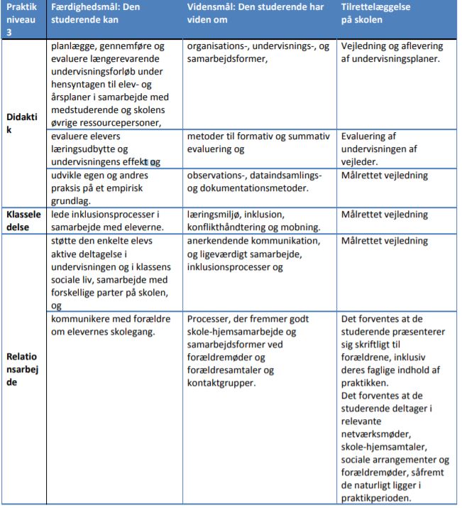 Plan for praktik på niveau 3